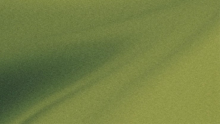 Vector gratuito fondo abstracto textura verde con grano