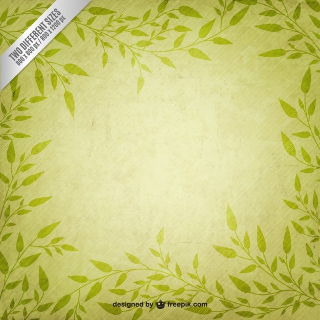 Vector gratuito fondo verde con hojas