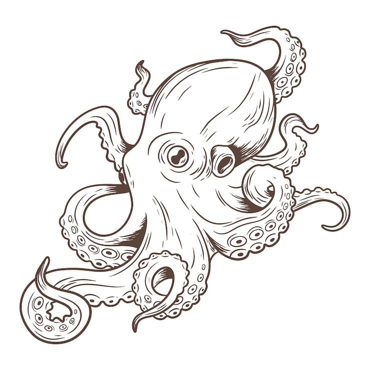 Vector gratuito ilustración de dibujo de pulpo dibujado a mano