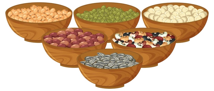 Vector gratuito ilustración de frijoles y semillas variadas en tazones de madera