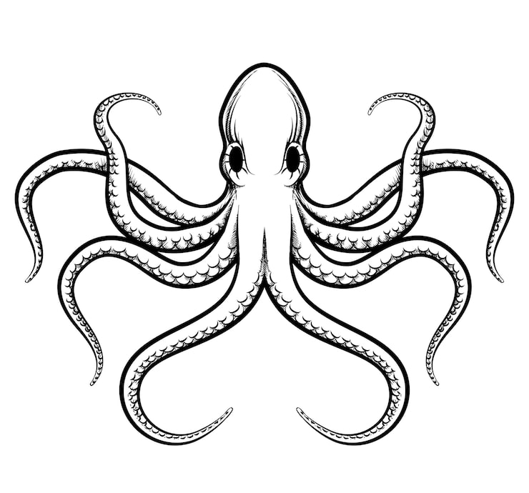 Vector gratuito ilustración de pulpo. pulpo bellamente pintado líneas negras sobre un fondo blanco.