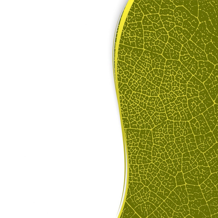 Vector gratuito página de texto verde