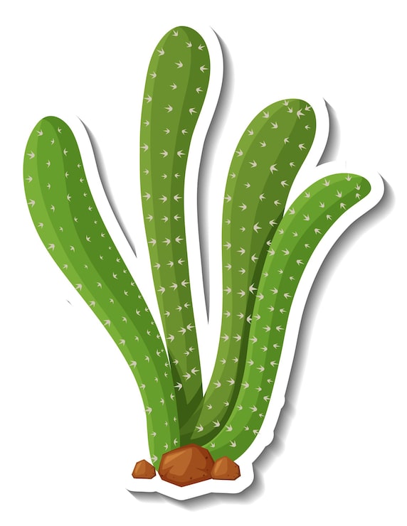 Vector gratuito planta de cactus saguaro sobre un fondo blanco