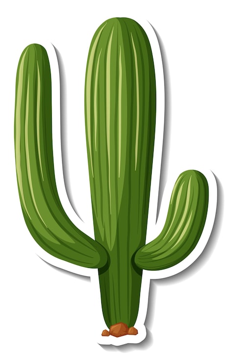 Vector gratuito planta de cactus saguaro sobre un fondo blanco