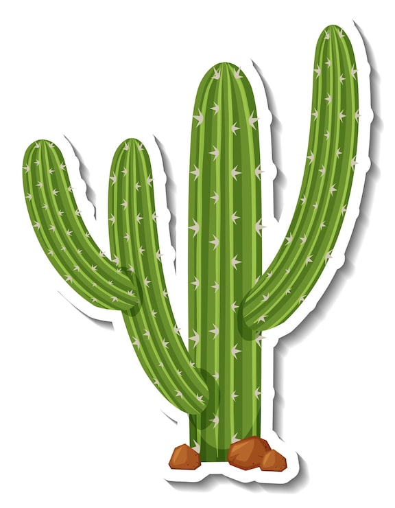 Vector gratuito planta de cactus saguaro sobre un fondo blanco
