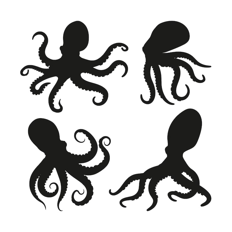 Vector gratuito silueta de pulpo dibujada a mano
