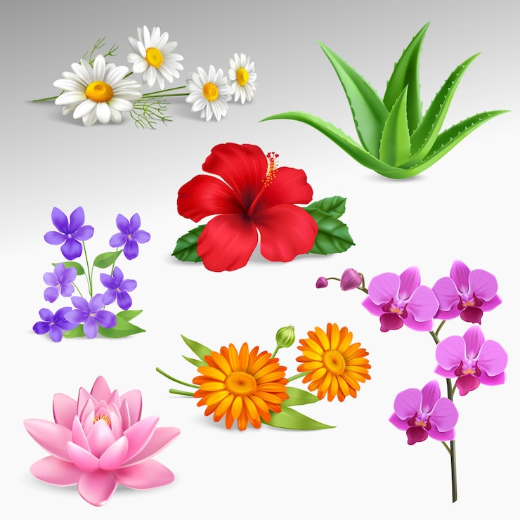 Miễn phí Vector bộ sưu tập biểu tượng thực tế hoa thực vật