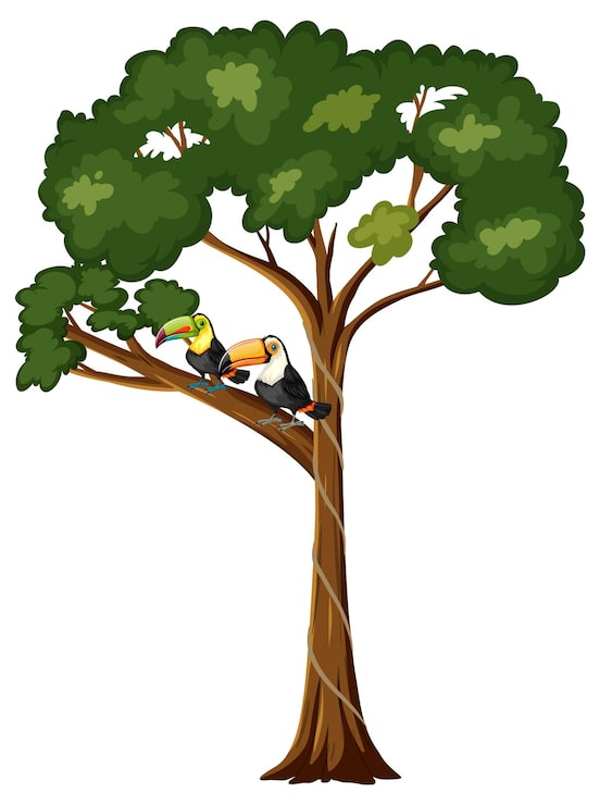 Miễn phí Vector hai con chim toucan trên cành cây