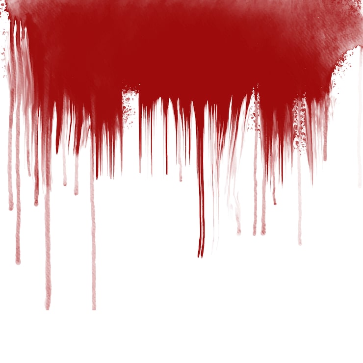 Vector gotas de sangre sobre fondo blanco.