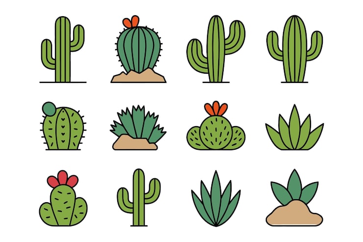 Vector iconos de cactus y suculentas plantas del desierto clipart