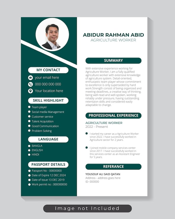 Vector plantilla curriculum vitae