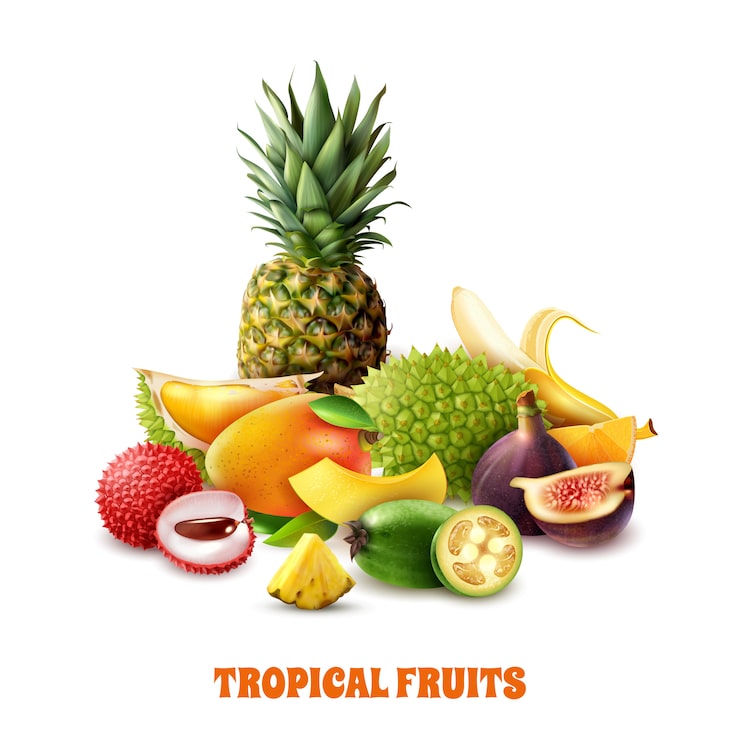 Vector Gratis komposisi buah-buahan tropis eksotis