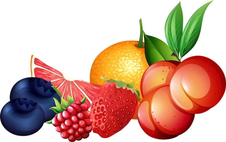 Vector Gratis satu set buah jeruk dengan latar belakang putih