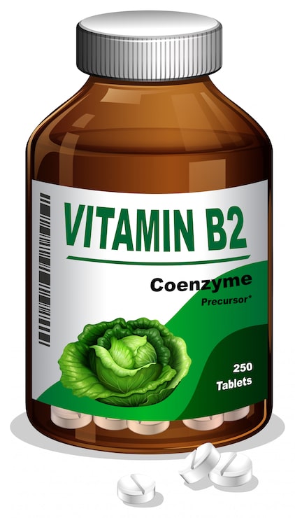 Vector Gratis sebotol vitamin b2