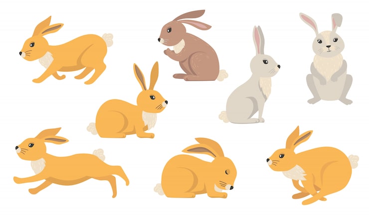 Vector Gratis set kelinci kartun