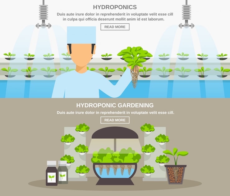 Vector Gratis spanduk desain hidroponik