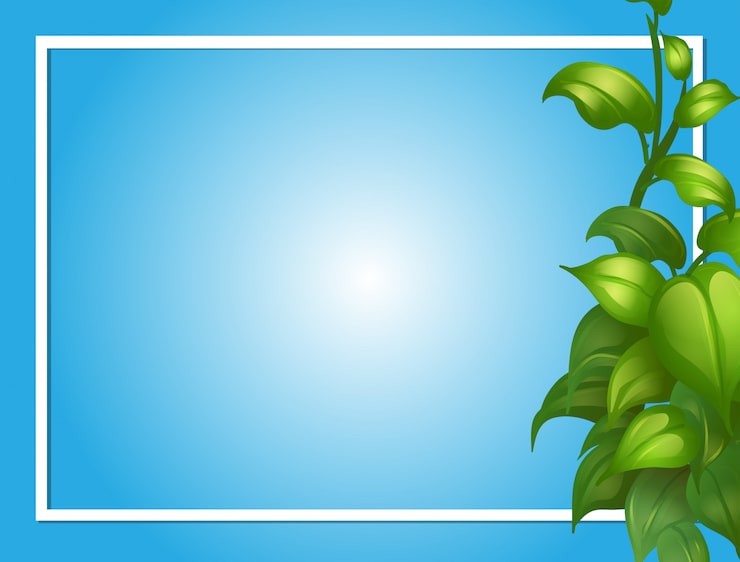 Vector Gratis template bingkai dengan daun hijau di samping
