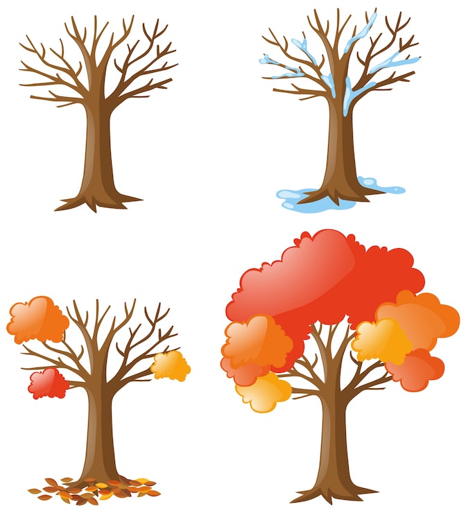 Kostenlose Vektor baum in den verschiedenen jahreszeiten
