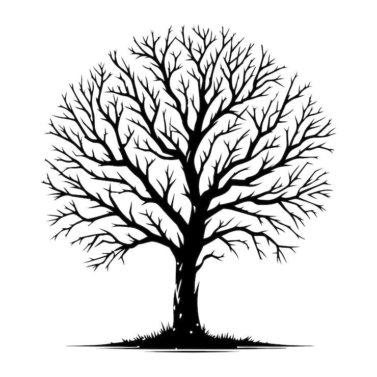 Vektor eine schwarze silhouette von winterbäumen auf einem weißen hintergrund