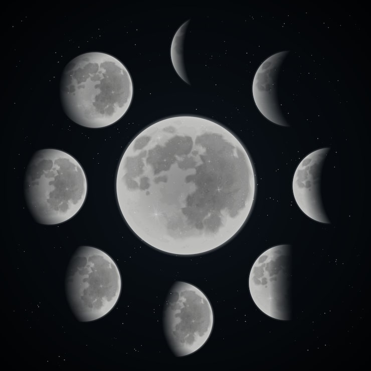 Vetor grátis conjunto de fases da lua