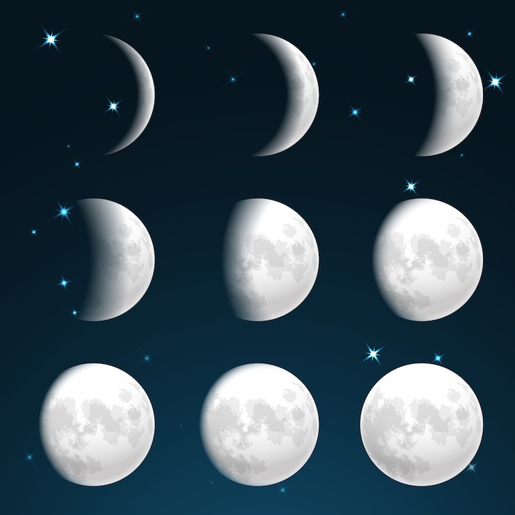 Vetor grátis fases da lua no céu estrelado