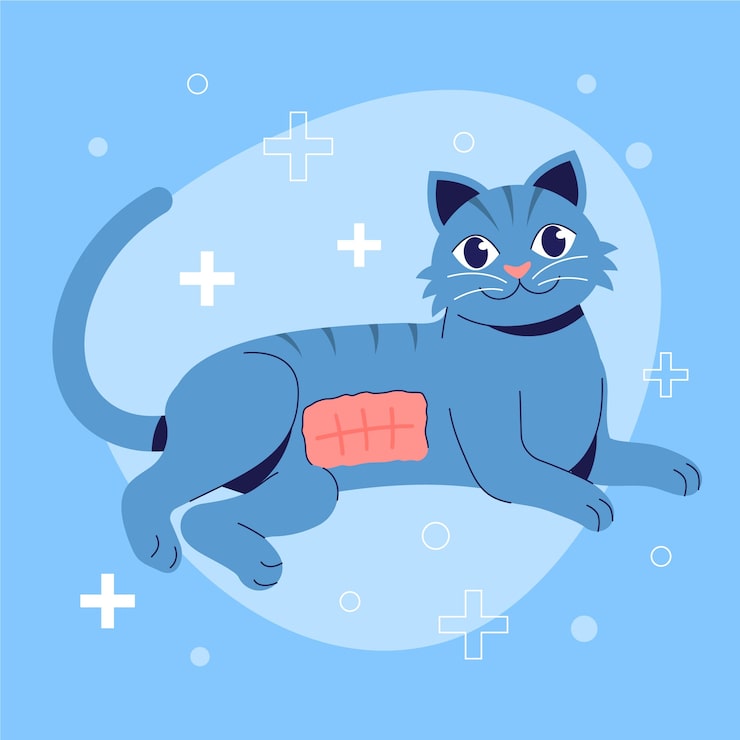 Vetor grátis ilustração de esterilização de animais desenhada à mão