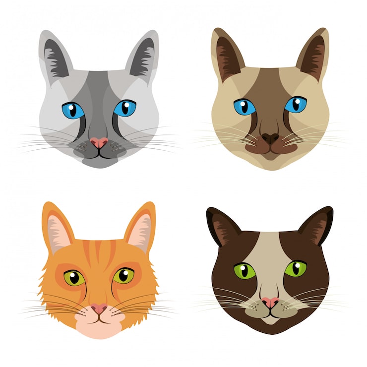 Vetor grátis projeto de gato de estimação.