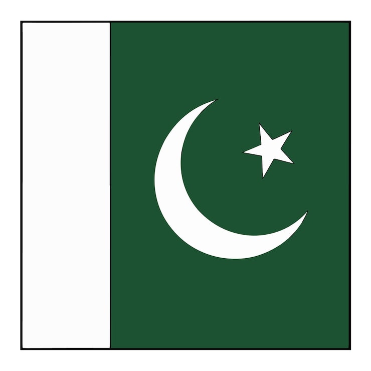 Vetor bandeira do paquistão com lua crescente e estrela.