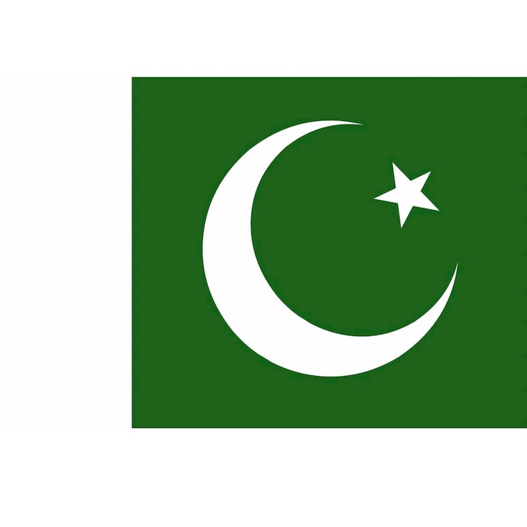 Vetor um close-up de uma bandeira verde e branca com um crescente e uma estrela