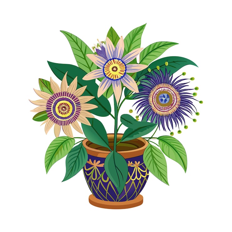 Vettore illustrazione di una pianta d'appartamento in vaso