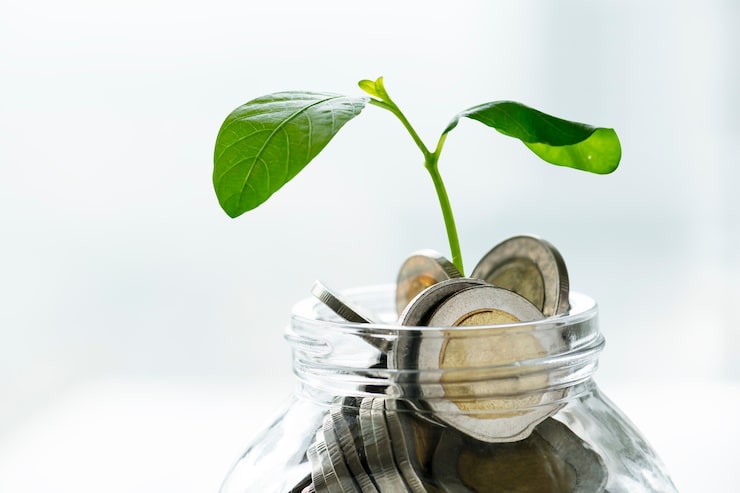 Gratis Foto groene economie pot met geld en groeiende plant