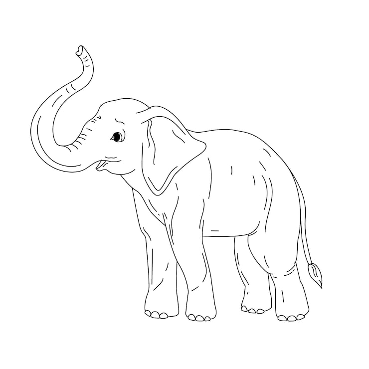 Gratis Vector handgetekende illustratie van de omtrek van een olifant