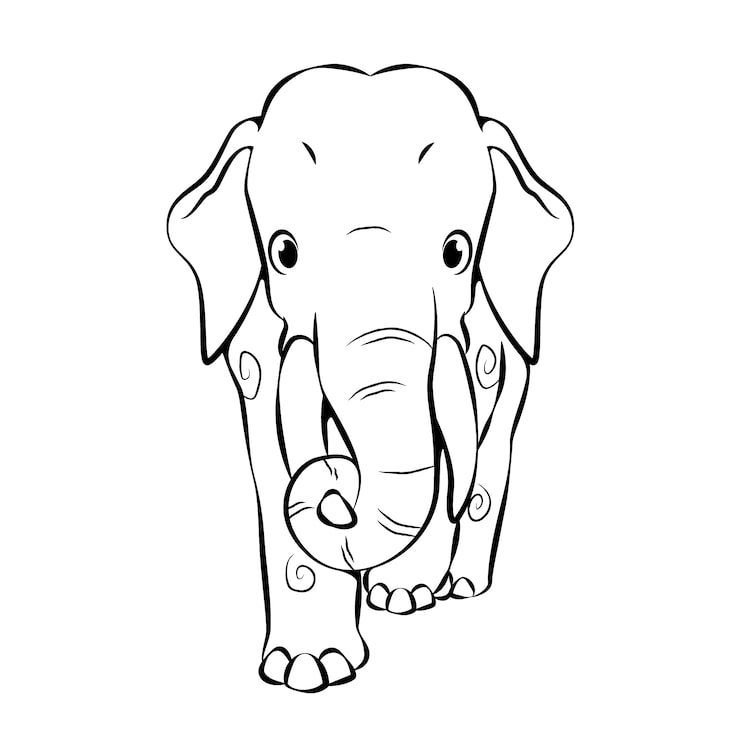 Gratis Vector handgetekende illustratie van de omtrek van een olifant