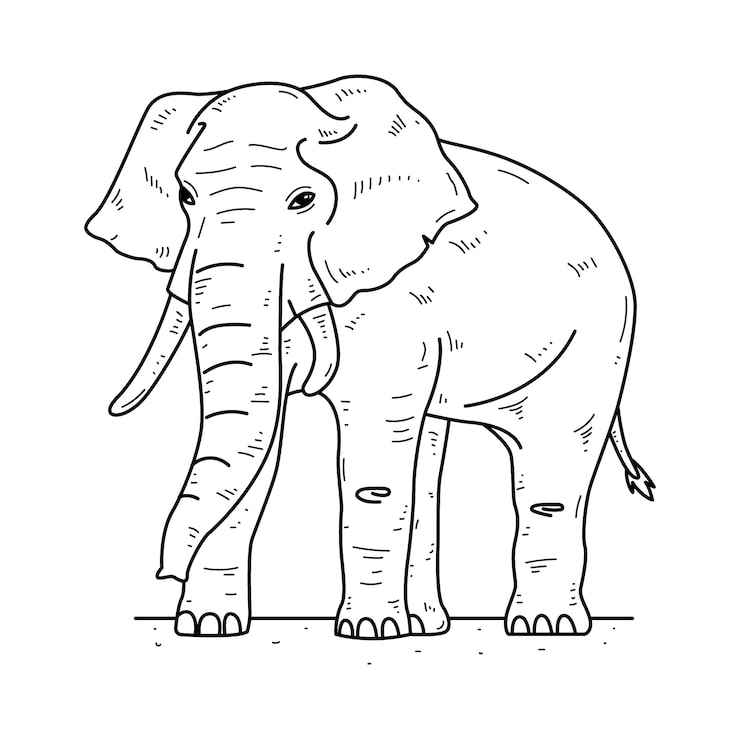 Gratis Vector handgetekende illustratie van de omtrek van een olifant