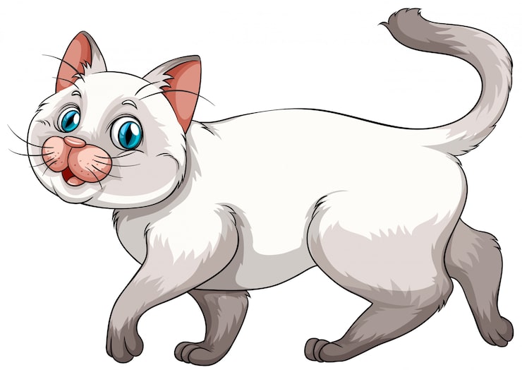 Gratis Vector kittens